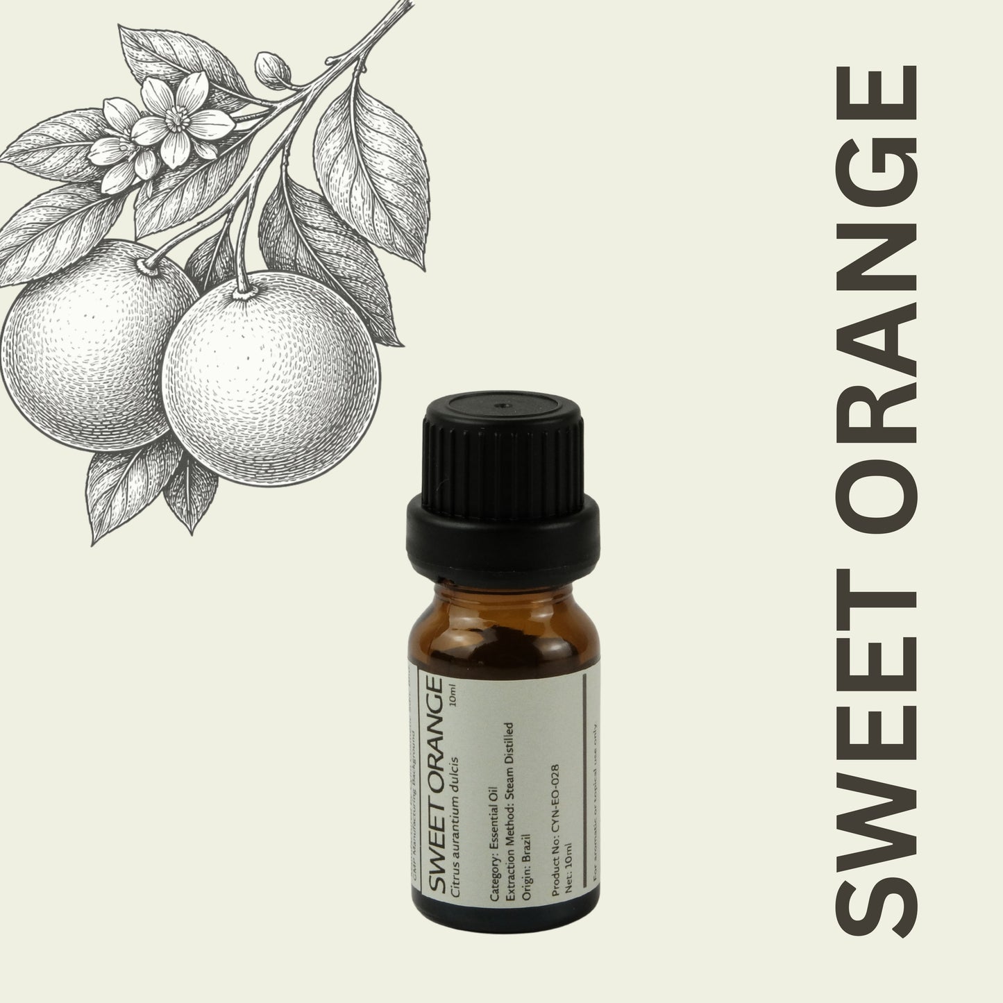 Cylin-Lab-Pure-Sweet-Orange-Essential-Oil-Brazil-Origin-Malaysia-Supplier