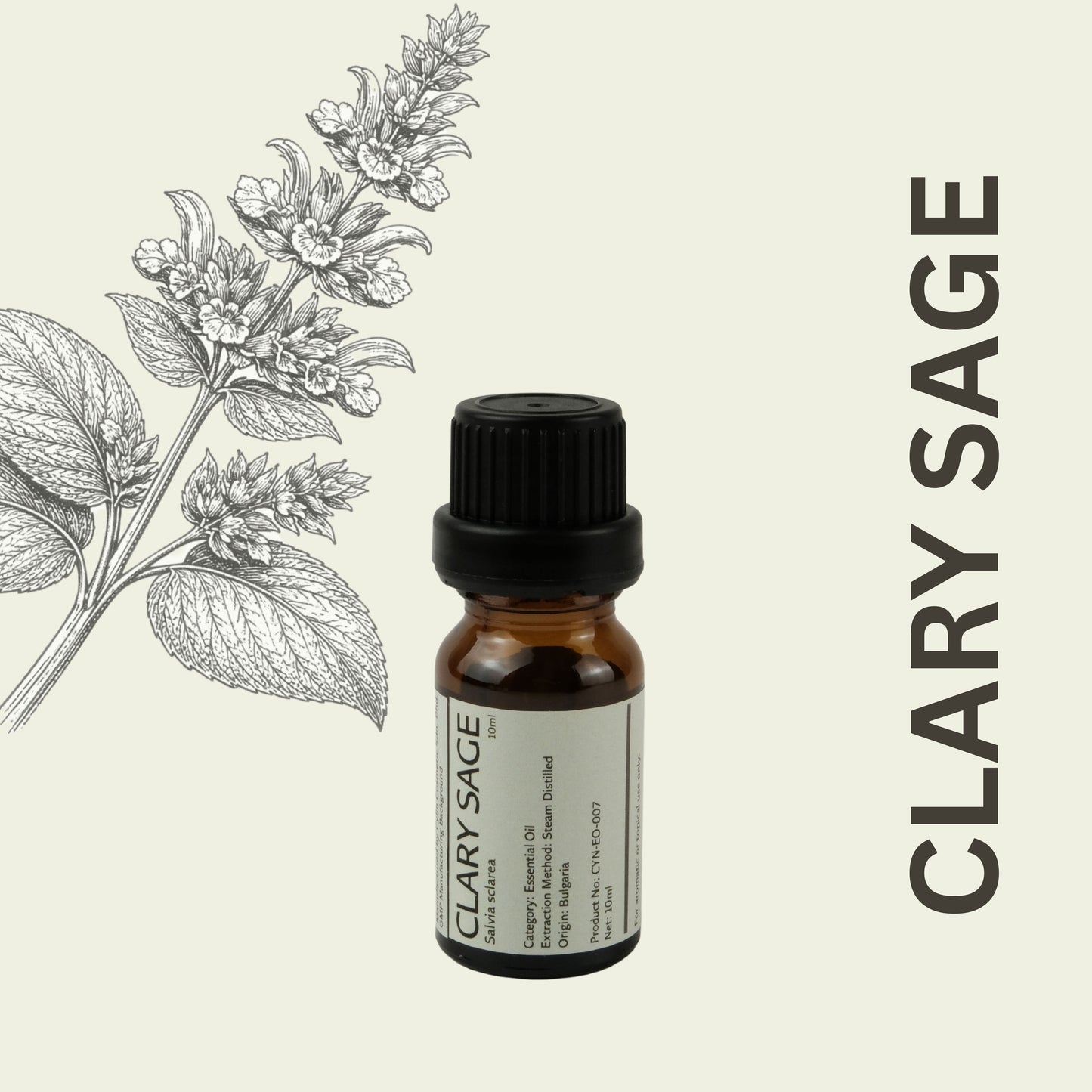 Cylin-Lab-Pure-Clary-Sage-Essential-Oil-Bulgaria-Origin-Malaysia-Supplier