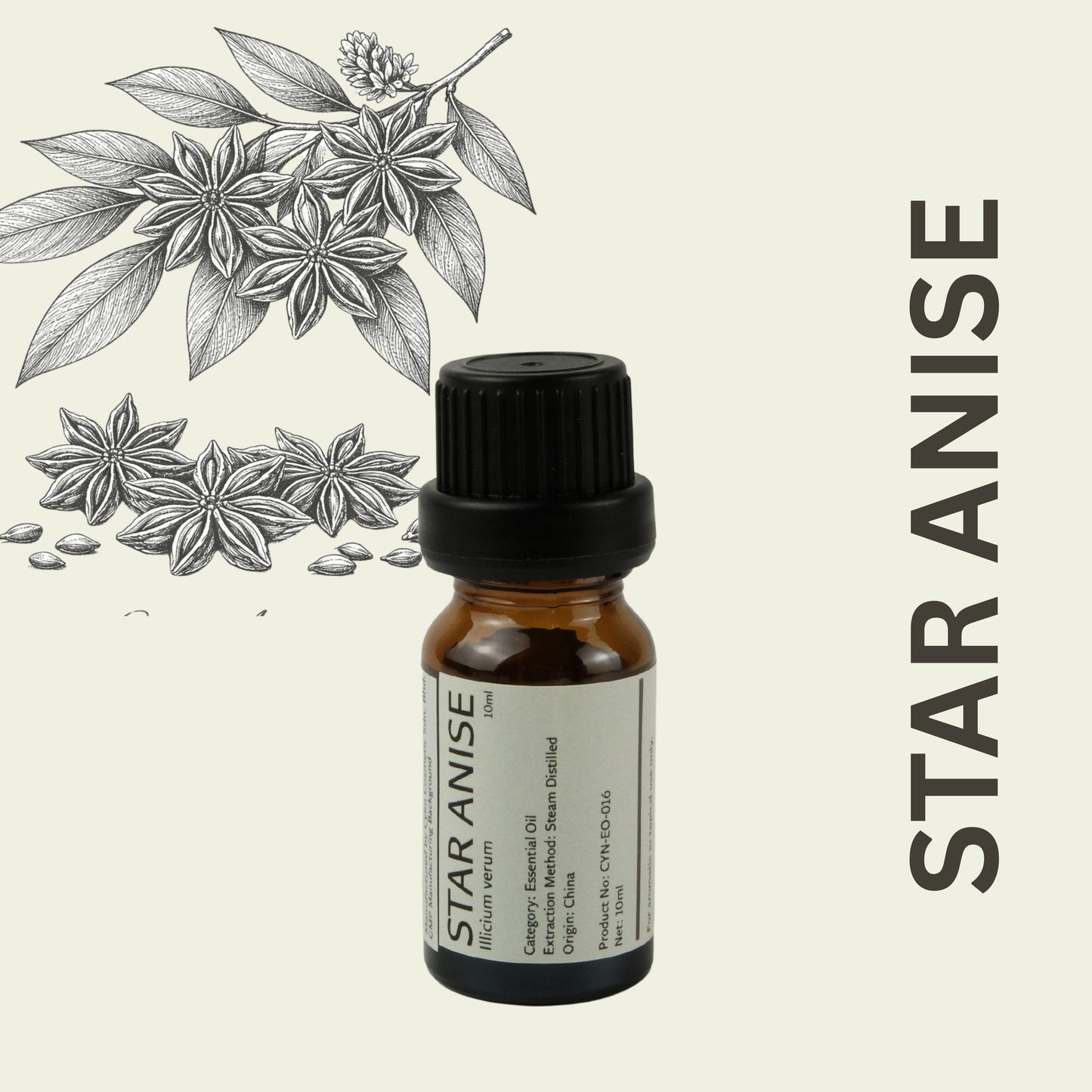 Cylin-Lab-Pure-Star-Anise-Illicium-verum-Essential-Oil-China-Origin-Malaysia-Supplier