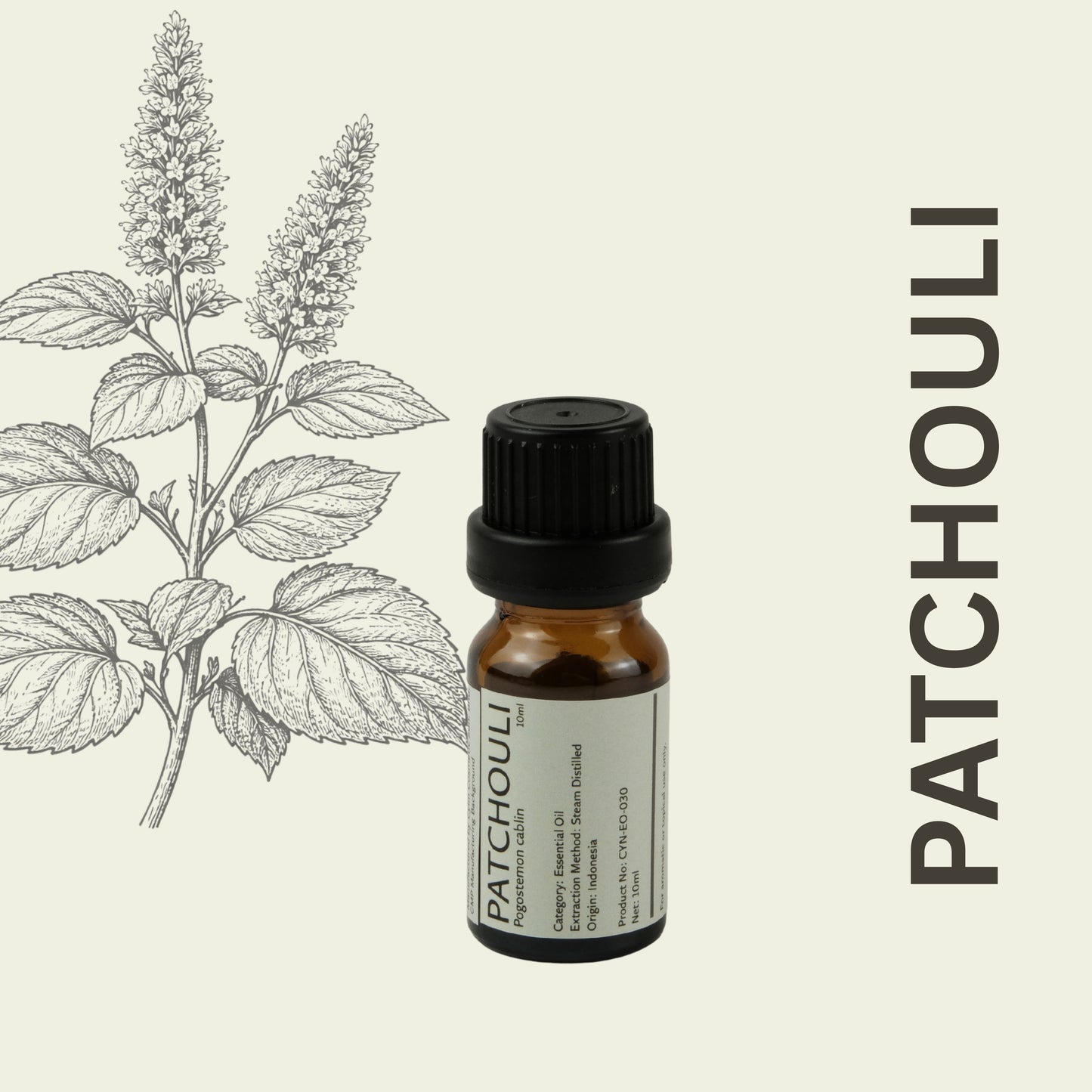 Cylin-Lab-Pure-Patchouli-Essential-Oil-Indonesia-Origin-Malaysia-Supplier