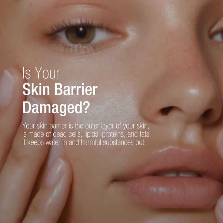 The Secret to Skin Barrier Repair: Why It’s the Key to Healthier Skin