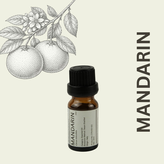 Cylin-Lab-Pure-Mandarin-Essential-Oil-Italy-Origin-Malaysia-Supplier