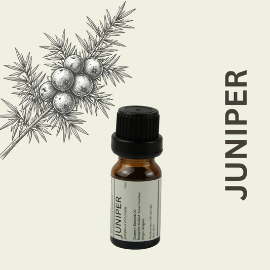 Cylin-Lab-Pure-Juniper-Berry-Essential-Oil-Bulgaria-Origin-Malaysia-Supplier