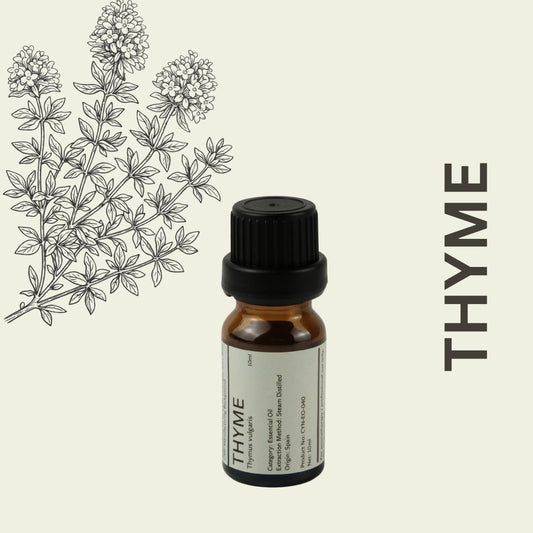 Cylin-Lab-Pure-Thyme-Essential-Oil-Spain-Origin-Malaysia-Supplier