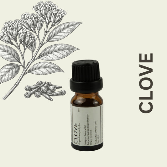 Cylin-Lab-Pure-Clove-Essential-Oil-Indonesia-Origin-Malaysia-Supplier