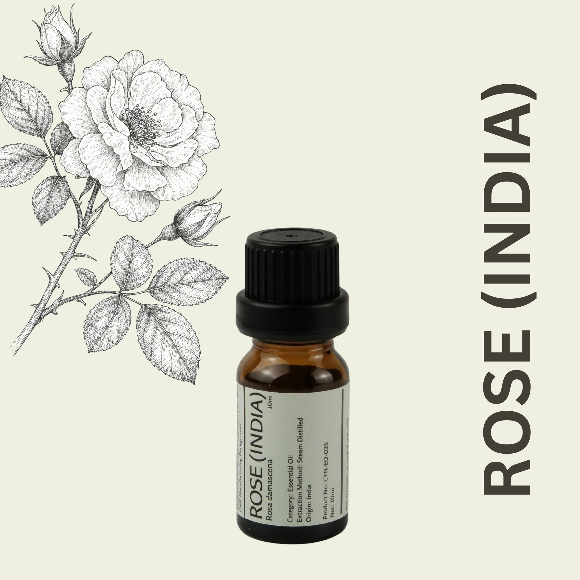 Cylin-Lab-Pure-Rose-India-Rosa-damascena-Essential-Oil-Malaysia-Supplier