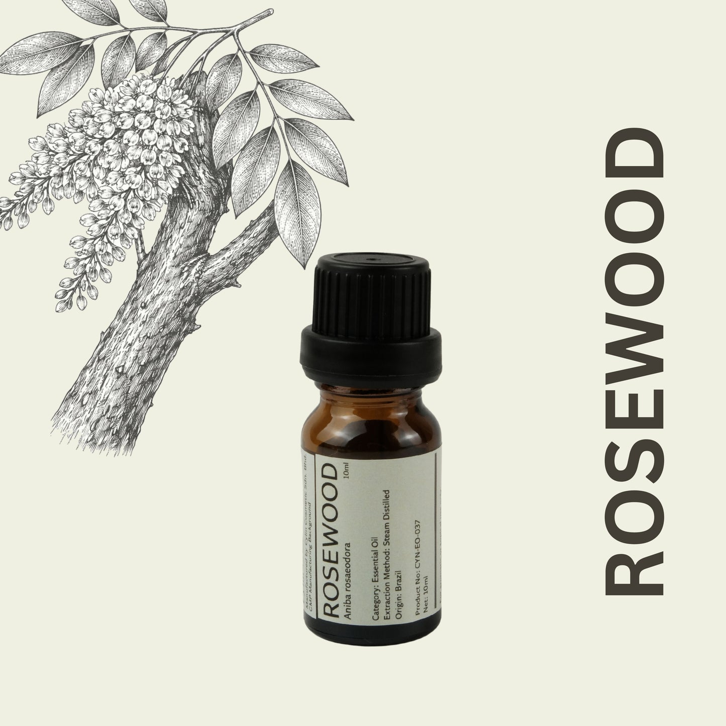 Cylin-Lab-Pure-Rosewood-Aniba-rosaeodora-Essential-Oil-Brazil-Origin-Malaysia-Supplier