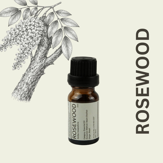 Cylin-Lab-Pure-Rosewood-Aniba-rosaeodora-Essential-Oil-Brazil-Origin-Malaysia-Supplier