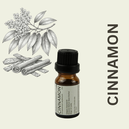 Cylin-Lab-Pure-Cinnamon-Cinnamomum-zeylanicum-Essential-Oil-Sri-Lanka-Origin-Malaysia-Supplier