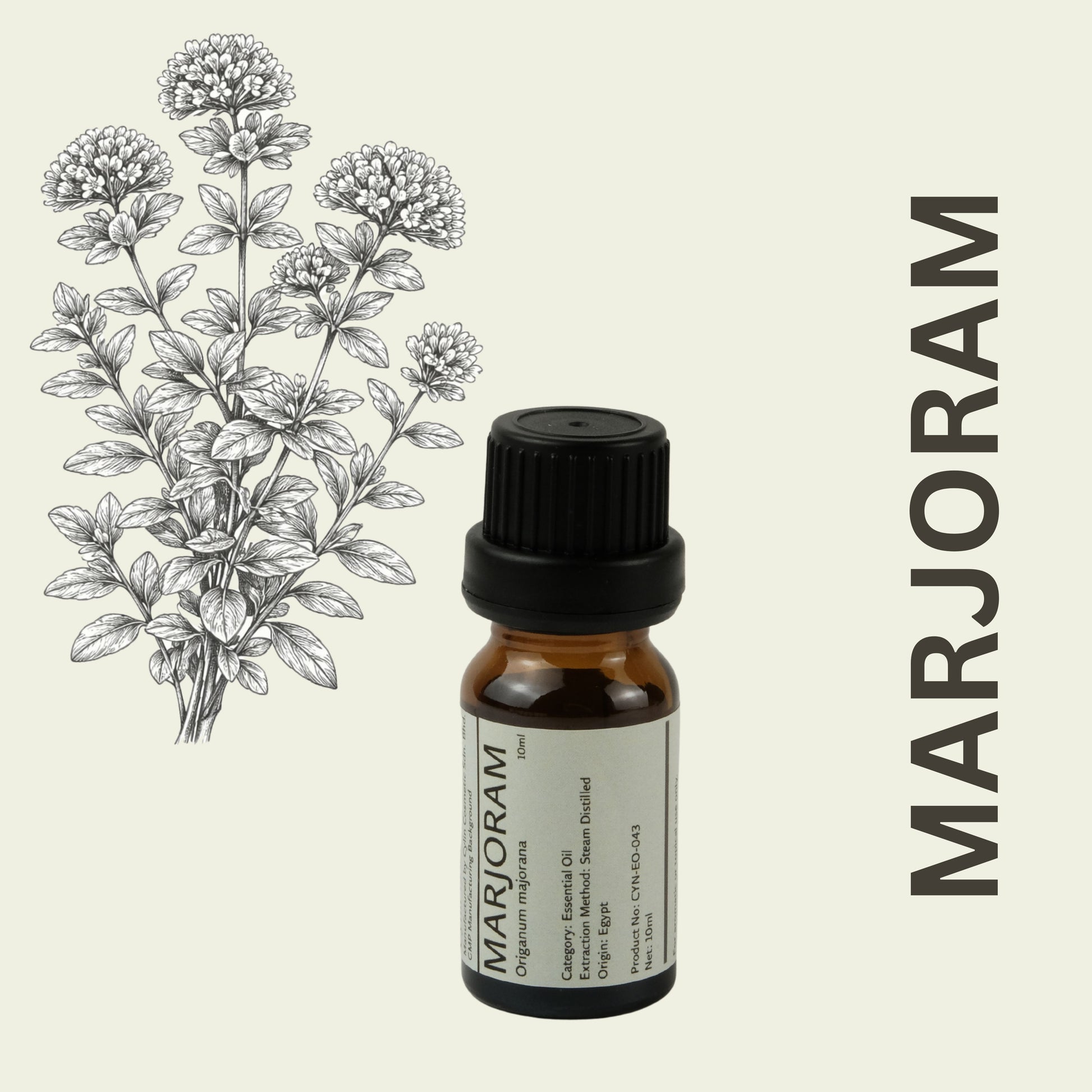 Cylin-Lab-Pure-Marjoram-Origanum-majorana-Essential-Oil-Egypt-Origin-Malaysia-Supplier