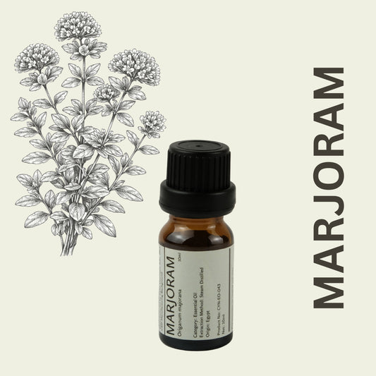 Cylin-Lab-Pure-Marjoram-Origanum-majorana-Essential-Oil-Egypt-Origin-Malaysia-Supplier
