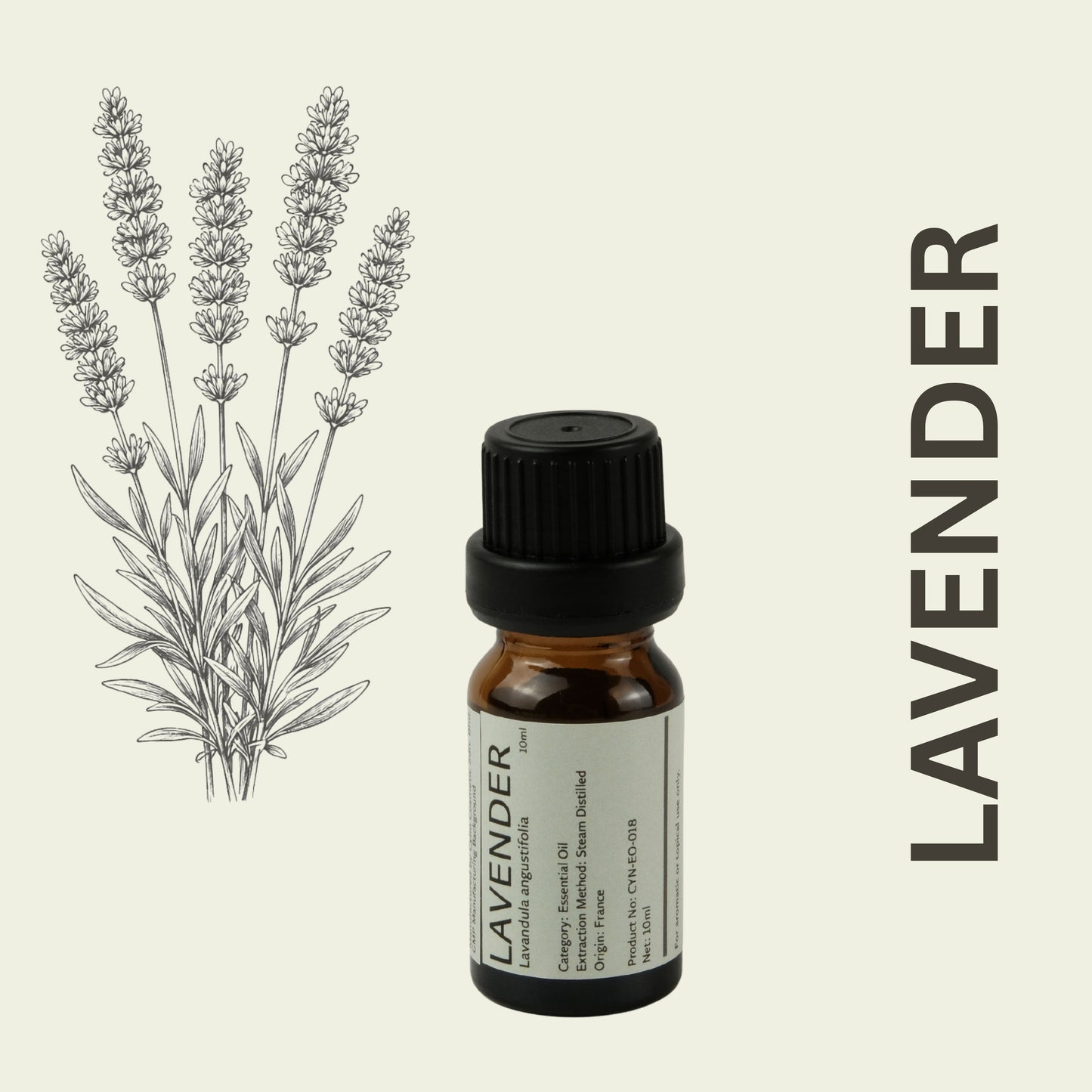Cylin-Lab-Pure-Lavender-Essential-Oil-Lavandula-angustifolia-France-Origin-Malaysia-Supplier