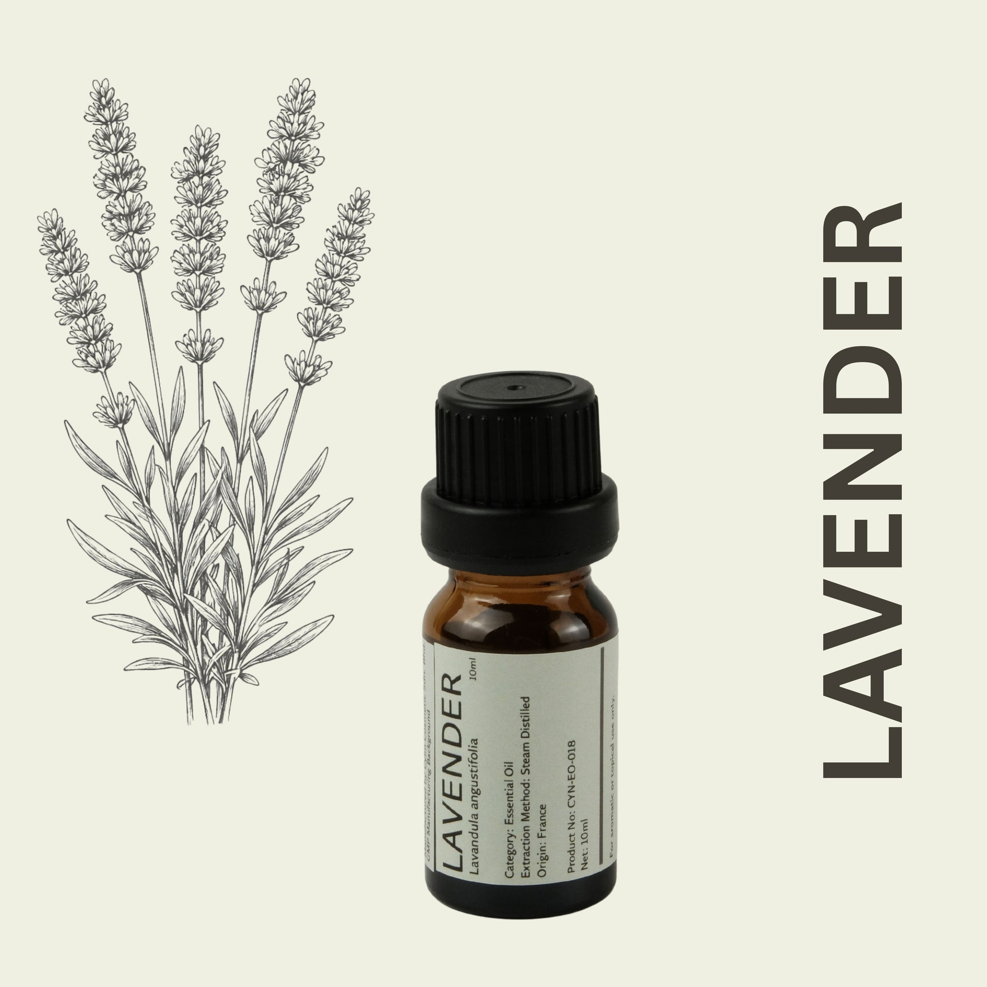 Cylin-Lab-Pure-Lavender-Essential-Oil-Lavandula-angustifolia-France-Origin-Malaysia-Supplier