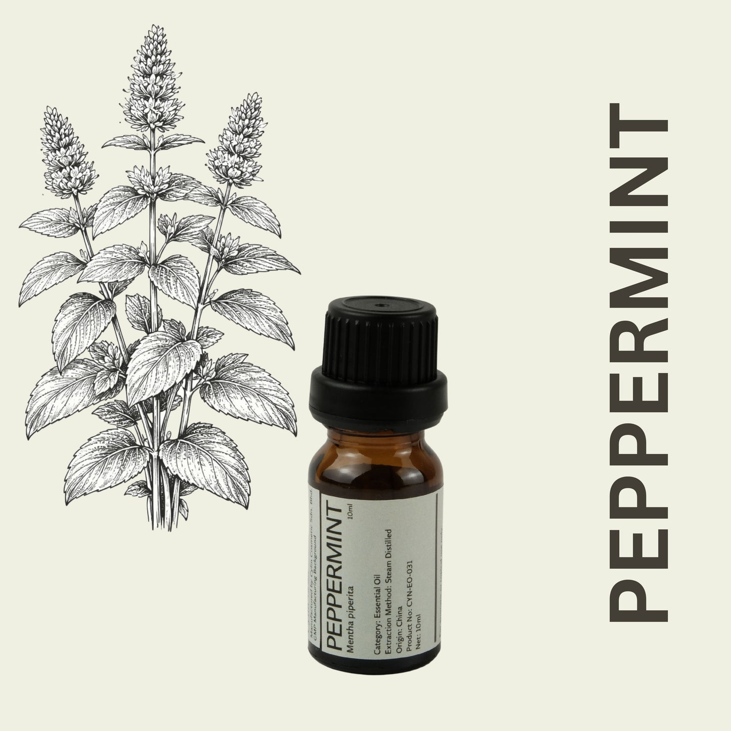 Cylin-Lab-Pure-Peppermint-Mentha-piperita-Essential-Oil-China-Origin-Malaysia-Supplier