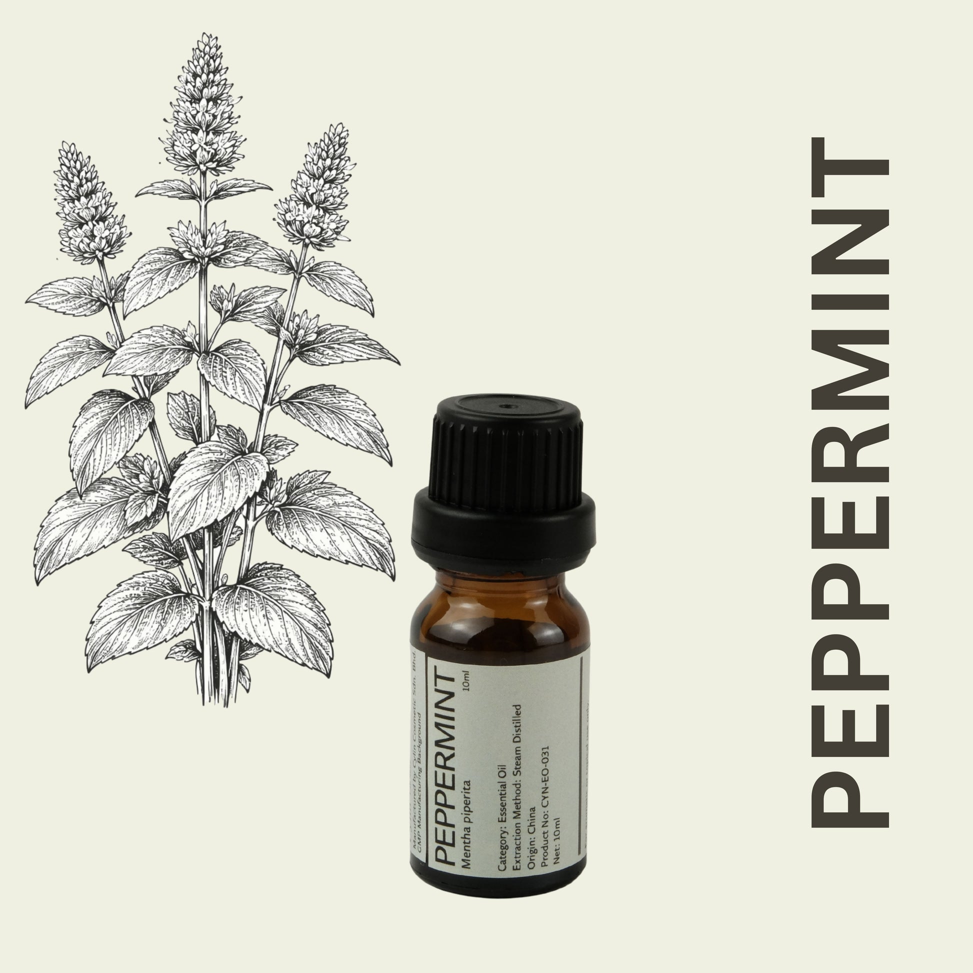 Cylin-Lab-Pure-Peppermint-Mentha-piperita-Essential-Oil-China-Origin-Malaysia-Supplier