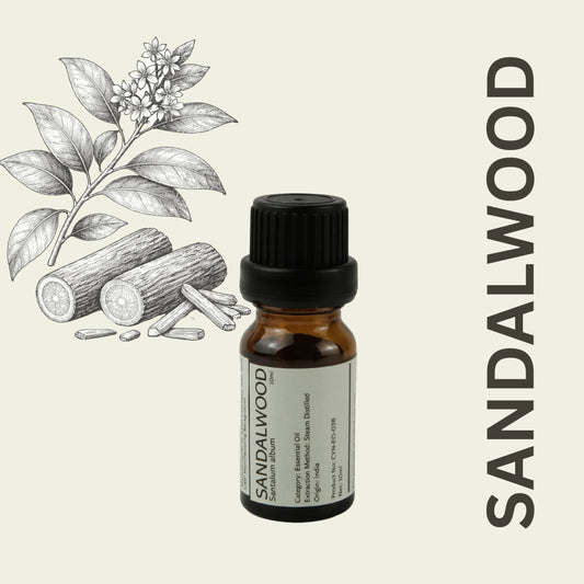 Cylin-Lab-Pure-Indian-Sandalwood-Santalum-album-Essential-Oil-Malaysia-Supplier