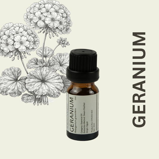 Cylin-Lab-Pure-Geranium-Pelargonium-graveolens-Essential-Oil-Egypt-Origin-Malaysia-Supplier