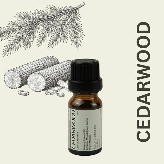 &nbsp;Cylin-Lab-Pure-Atlas-Cedarwood-Cedrus-atlantica-Essential-Oil-Morocco-Origin-Malaysia-Supplier