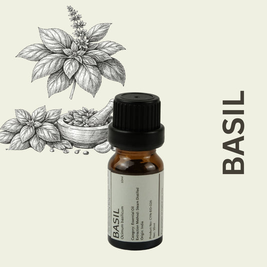 Cylin-Lab-Pure-Basil-Ocimum-basilicum-Essential-Oil-India-Origin-Malaysia-Supplier
