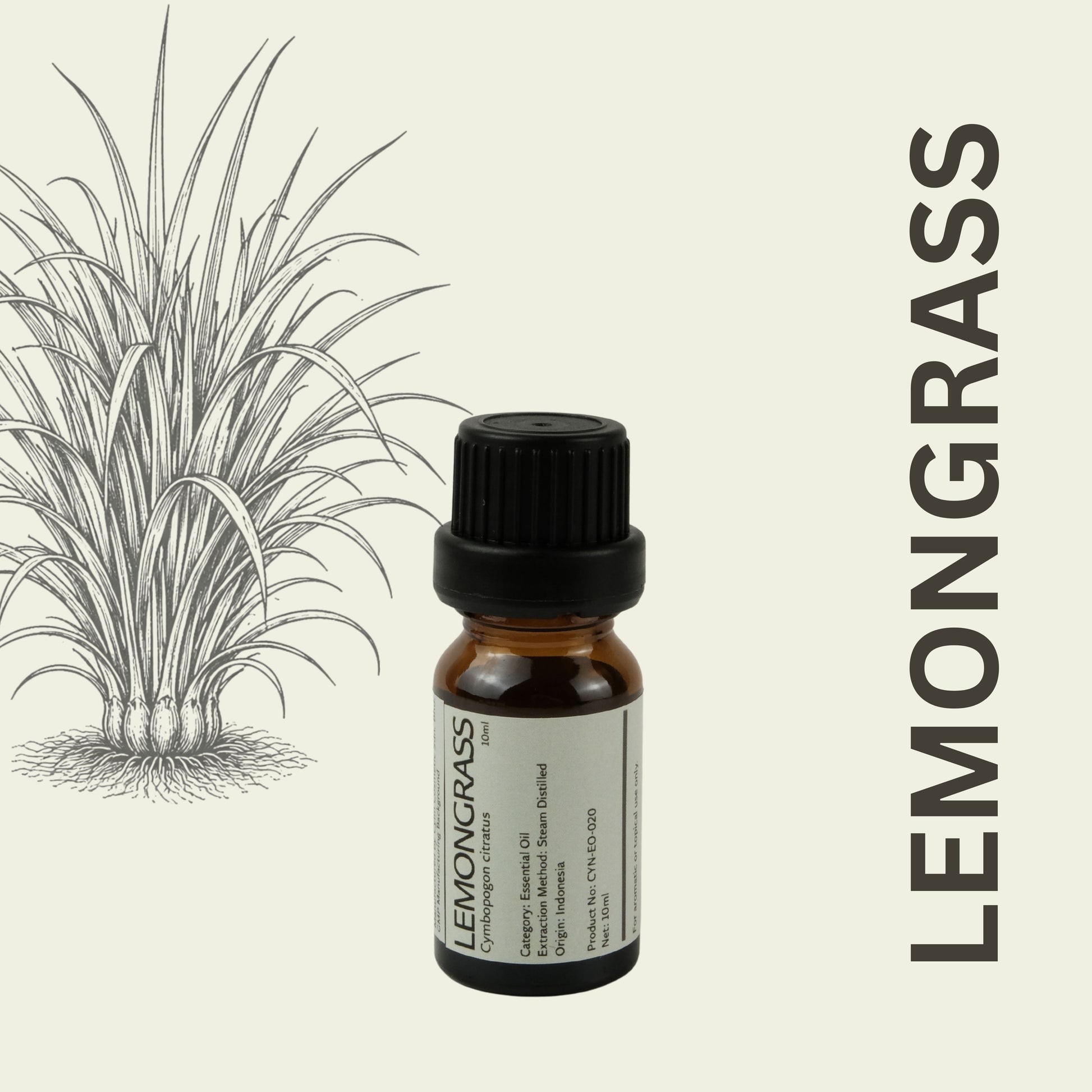 Cylin-Lab-Pure-Lemongrass-Essential-Oil-Indonesia-Origin-Malaysia-Supplier