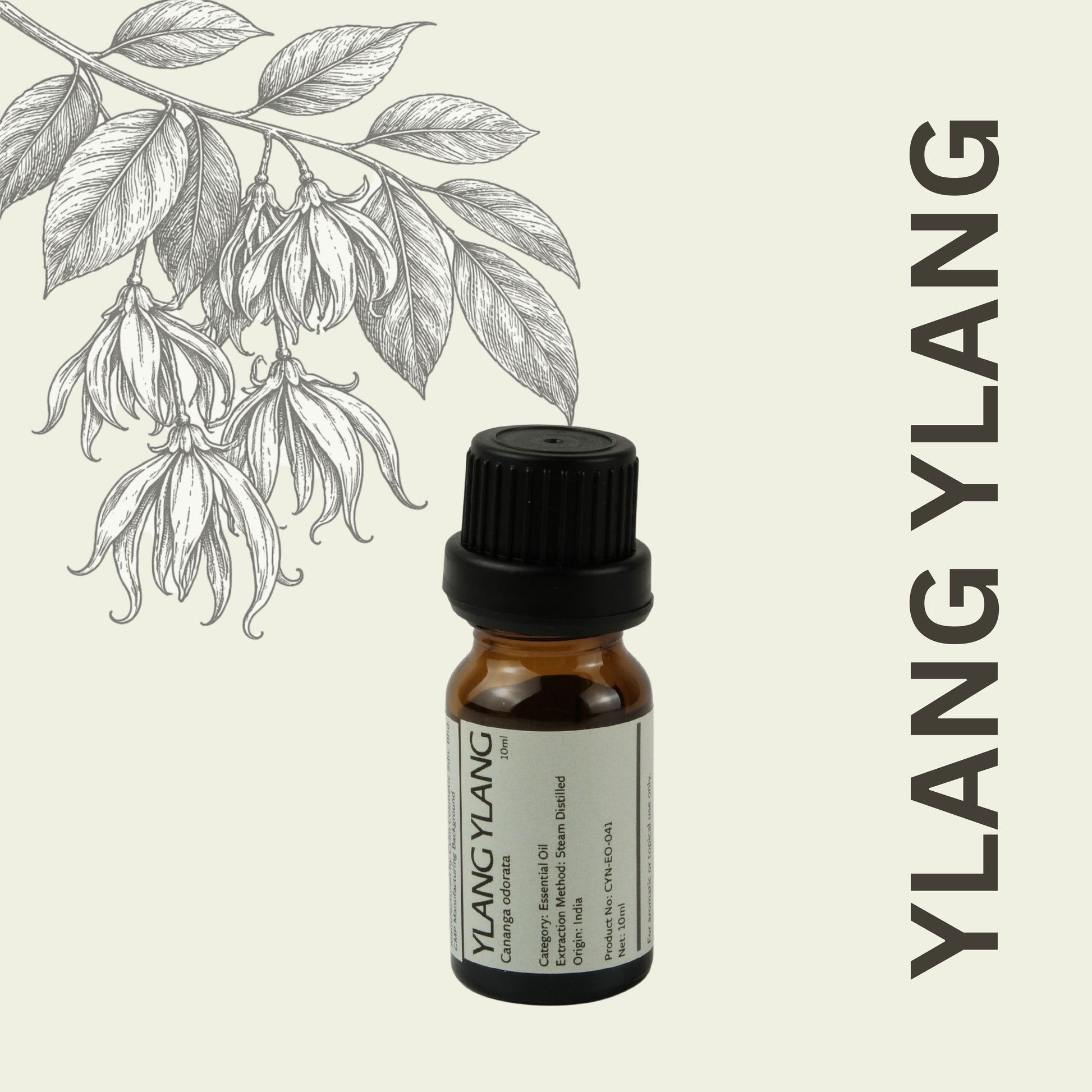 Cylin-Lab-Pure-Ylang-Ylang-Essential-Oil-India-Origin-Malaysia-Supplier
