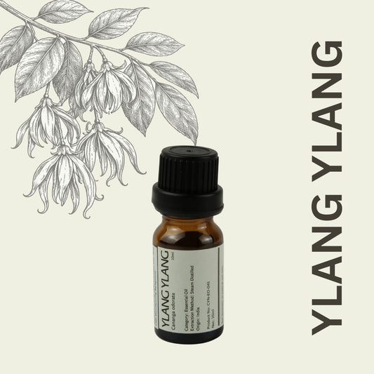 Cylin-Lab-Pure-Ylang-Ylang-Essential-Oil-India-Origin-Malaysia-Supplier
