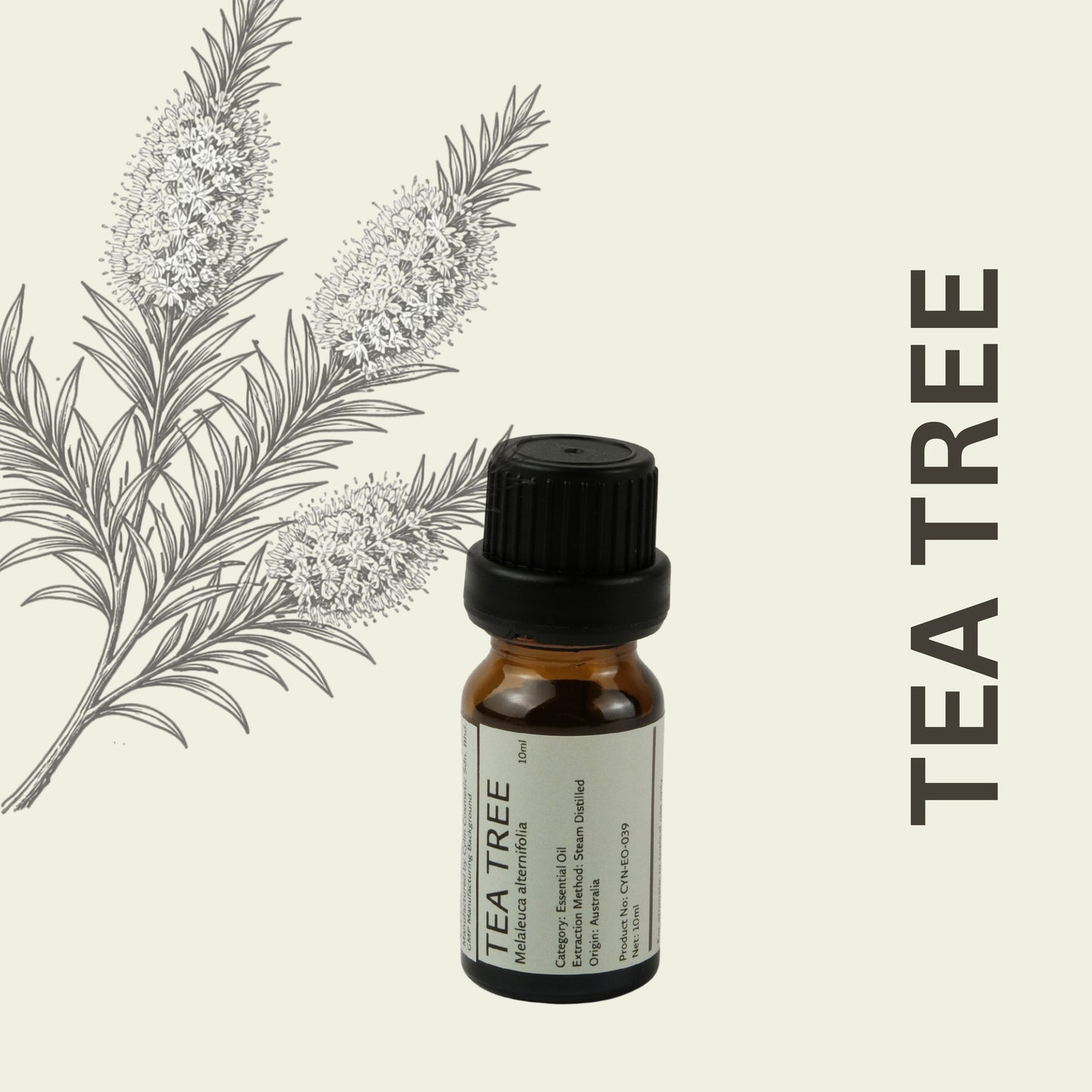 Cylin-Lab-Pure-Tea-Tree-Essential-Oil-Australia-Origin-Malaysia-Supplier
