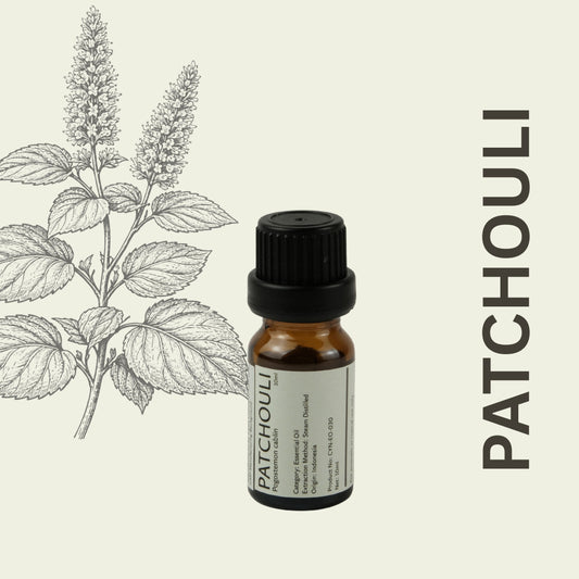 Cylin-Lab-Pure-Patchouli-Essential-Oil-Indonesia-Origin-Malaysia-Supplier
