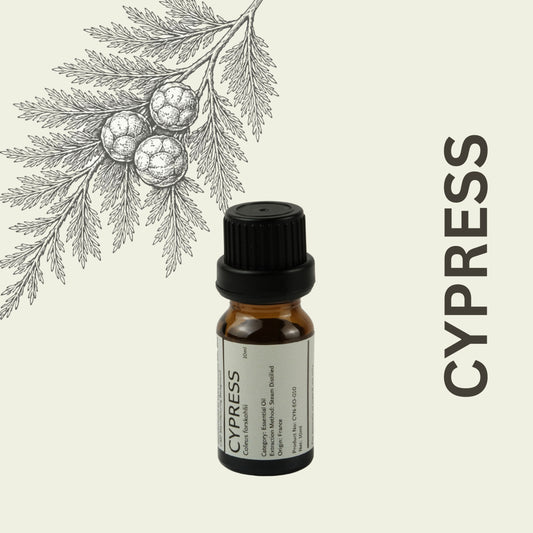 Cylin-Lab-Pure-Cypress-Coleus-forskohlii-Essential-Oil-France-Origin-Malaysia-Supplier